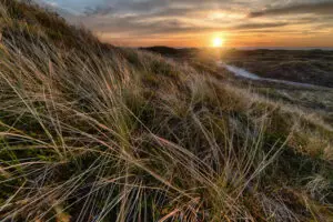 Referencja – Ewa W.