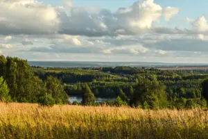 Referencja – Piotr M.